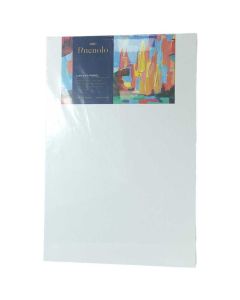TOILE CANVAS 20X30 DELI